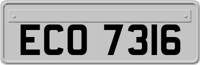 ECO7316