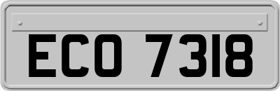 ECO7318