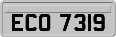 ECO7319