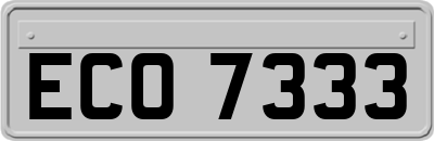 ECO7333
