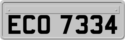 ECO7334