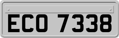 ECO7338