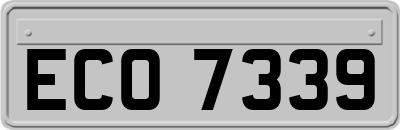 ECO7339