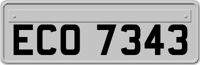 ECO7343