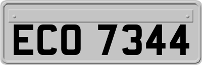 ECO7344