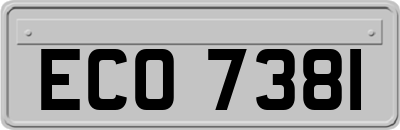 ECO7381