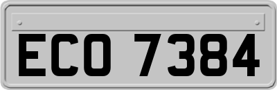 ECO7384