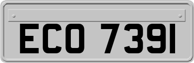 ECO7391