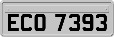 ECO7393
