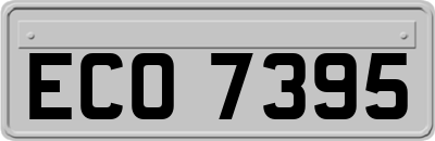 ECO7395