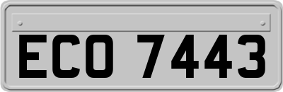 ECO7443