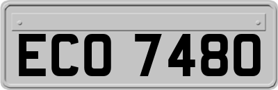 ECO7480