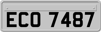 ECO7487
