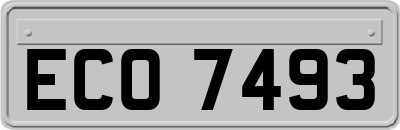 ECO7493
