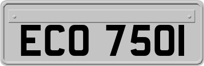 ECO7501