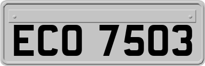 ECO7503