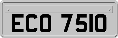 ECO7510