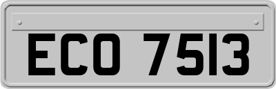 ECO7513