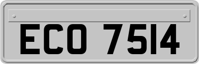 ECO7514