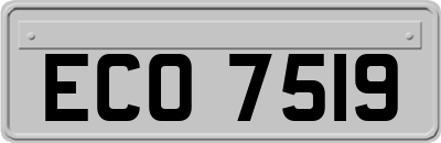 ECO7519
