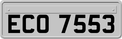 ECO7553