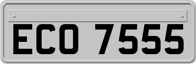 ECO7555