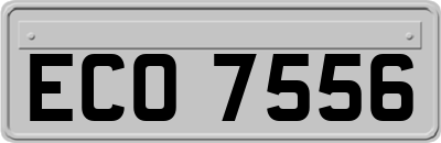 ECO7556