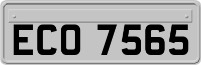 ECO7565