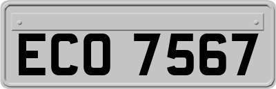 ECO7567