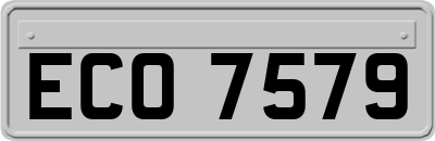 ECO7579