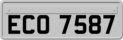 ECO7587