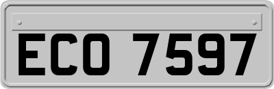 ECO7597