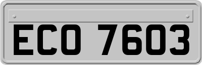 ECO7603