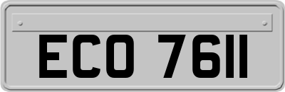 ECO7611