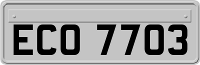 ECO7703