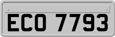 ECO7793