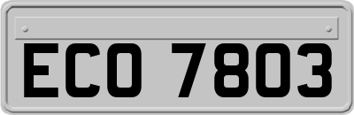 ECO7803