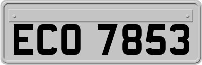ECO7853