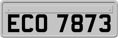 ECO7873