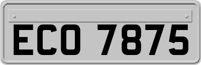 ECO7875
