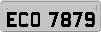 ECO7879