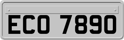 ECO7890