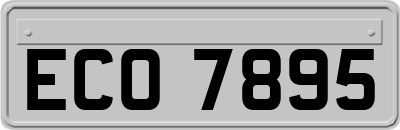 ECO7895