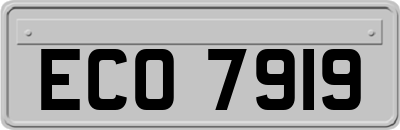 ECO7919
