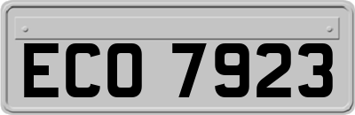 ECO7923