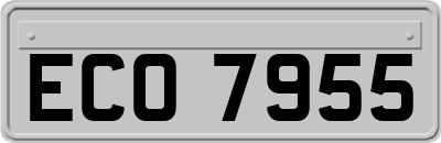 ECO7955