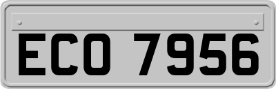 ECO7956