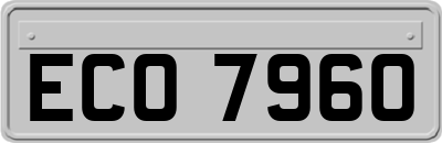 ECO7960