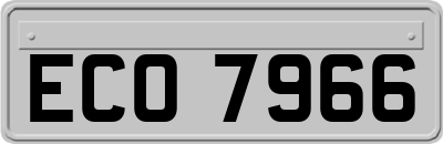 ECO7966