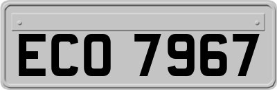 ECO7967